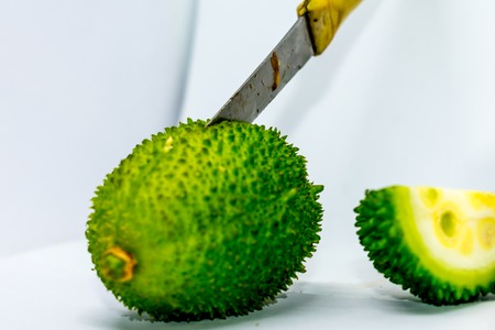 Gac fruit, Jackfruit, Spiny Bitter Gourd, Sweet Grourd or Cochinchin Gourd. Natural gac fruit in the garden, Gac, Baby Jackfruit, Sweet Gourd, Cochinchin , Momordica cochinchinensis. White backgroundの写真素材