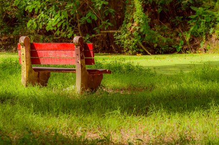 Red color bench in the autumn park. Single wooden park bench in a lush green botanical garden on tree background. ( Kolkata, India )の写真素材