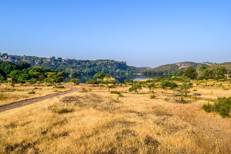 Inside view of RANTHAMBORE National Park, India Asia. As per Tourist group on jungle Safari, extreme danger location of forest for adventure tour. It is protected wildlife sanctuary in northern India.の写真素材