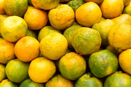 An set of orange, type of citrus fruit, Studio shot, isolated, Close up. Seamless colorful abstract pattern design of decorative element object. Backdrop, background, texture or decoration concept.の写真素材