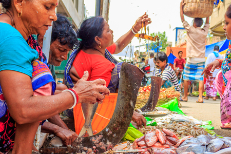 KOLKATA, INDIA - OCTOBER 05, 2018: Unknown people selling fish at a street market on OCTOBER 05, 2018 in the Koley Market area of Kolkata, West Bengal, India, Asiaのeditorial素材