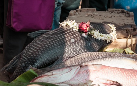 Nalban Food Park, Kolkata Jan 10 2019 - A fish decorated with flowers at Bengal Fish Festival is organized by Department Fisheries to promote opportunity to Sea Food Industry to showcase their productのeditorial素材