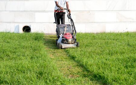 An Electric Rotary lawn mower machine (mower, grass cutter or lawnmower) for Mower, Cutting lawn areas. Motor powered lawn mower in use gardens parks for mowing of lawns to cut a grass surface.のeditorial素材