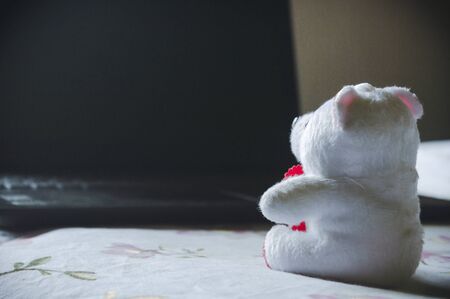 Teddy bear sitting in front of laptop computer device. Still Life. Child using digital technology. Conceptual background concept. Modern childhood education theme. Copy space room for text for massage.の写真素材