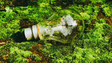 A fluorescent light bulb in sunlight on green nature background. Green business, economy, eco-industries start up ideas innovation background . Go Green to minimize human impact on environment conceptの写真素材
