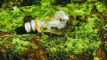 A fluorescent light bulb in sunlight on green nature background. Green business, economy, eco-industries start up ideas innovation background . Go Green to minimize human impact on environment conceptの写真素材