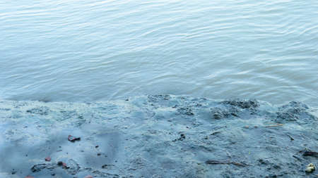 Muddy river banks in low tide next to wave water. Alluvial soils deposited by the river. Nature background. Close up.の写真素材