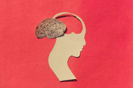 Human Brain Isolated Within Human Head. Paper Illustration. Feelings of isolation and Mental Health concepts.の写真素材