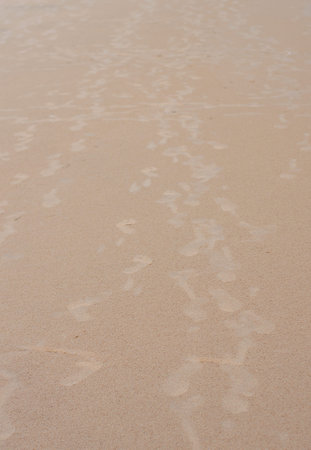 Footsteps on Sand. Footprints on Sandy Sea beach. Puri Orissa India.