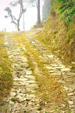 A stone mountain road is going uphill. Vertical image. Nature Architecture Transportation background.の写真素材