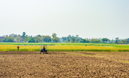 Agricultural field landscape view of rural india after harvest against clear sky background.の写真素材
