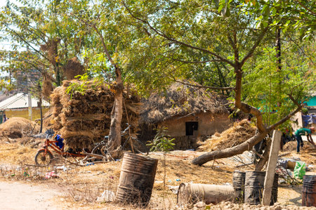 Typical hayloft in India. Haystack and farmer's house. Collection of dry hay in the traditional indian way in a haystack outside rural Indian farming house.の写真素材
