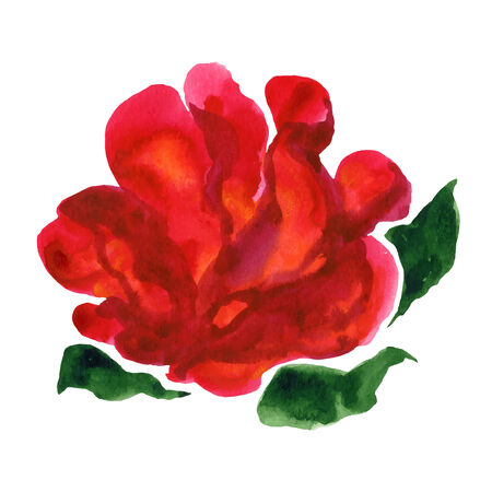 Watercolor hand drawn flower.Vector illustrationのイラスト素材