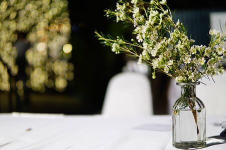 flowers in jarsの写真素材