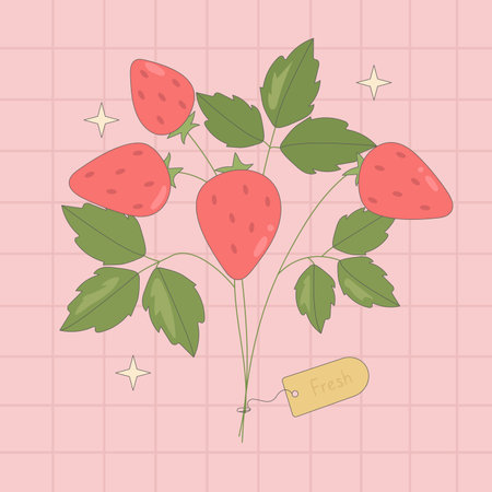 Groovy strawberry bouquet, star on retro pink background.のイラスト素材