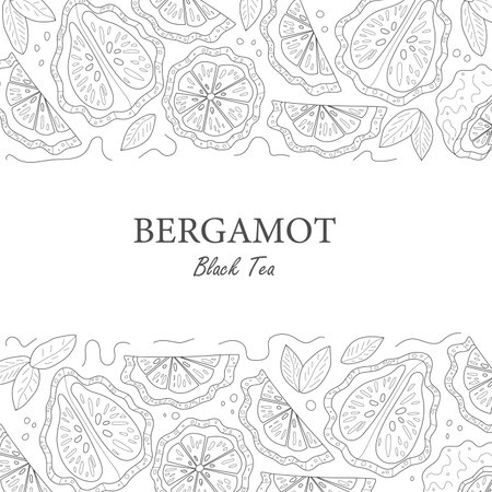 Label for tea with bergamot. Whole and piece of bergamot. line styleのイラスト素材