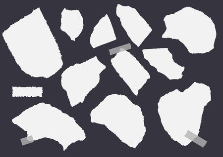 Set of paper different shapes ripped scraps fragments wisps i. Vector illustration.のイラスト素材
