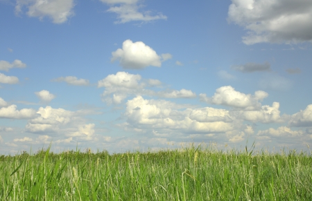 sky and grass  Summer background  photosの写真素材