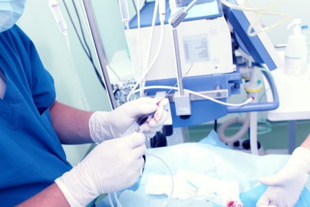 Hands of a doctor with a needle to the catheter at the bedside の写真素材