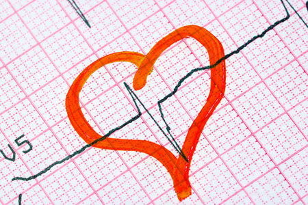 Drawn heart on ECG. symbol of medicine