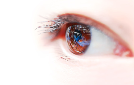 Woman eye closeup shot の写真素材