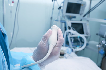 Ultrasound sensor in the hands of the researcher