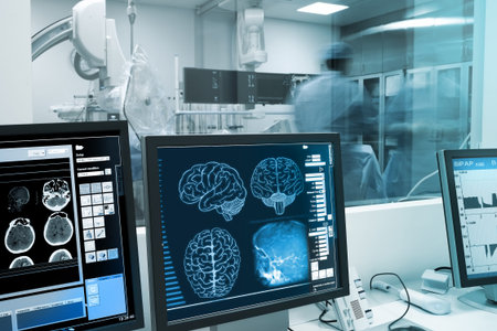 Study, visualization and practice with the human brain in x-ray laboratory.