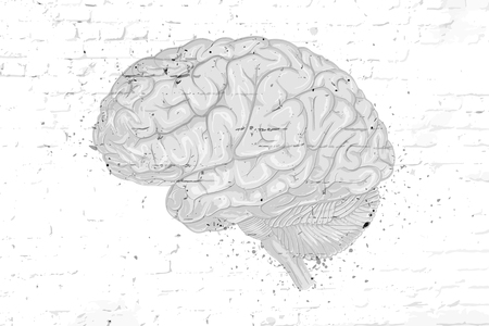 Vector drawn brain on a brick wallのイラスト素材
