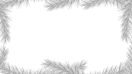 White background for design, framed by fir branches, vector.のイラスト素材