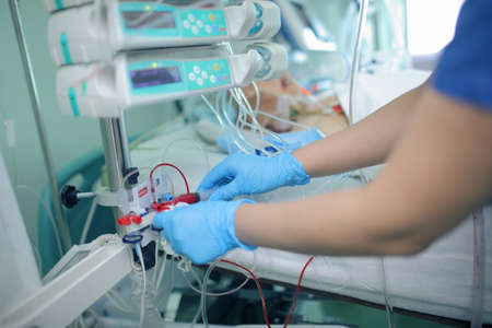 Nursing staff work with the patient's invasive arterial line.の写真素材