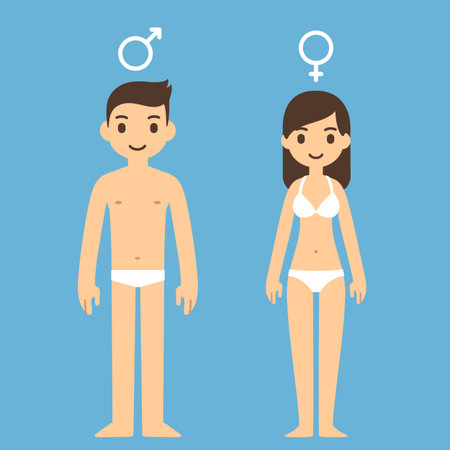 Cute cartoon man and woman in underwear with male and female symbols above.のイラスト素材