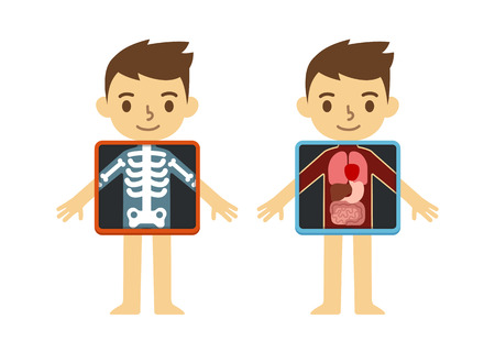 Two illustrations of cute cartoon boy with x-ray screen showing his internal organs and skeleton. Element of educational infographics for kids.のイラスト素材