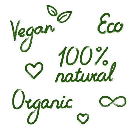 Set of handwritten brush labels: Vegan, Eco, 100 natural, Organic, and little hand drawn ink doodles, isolated on white background.のイラスト素材