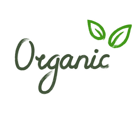 Hand drawn Organic sign with two green leaves isolated on white background.のイラスト素材