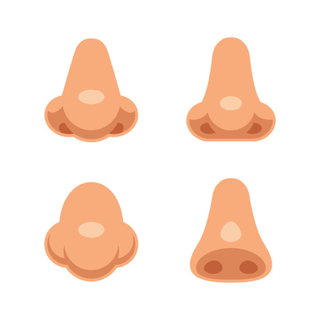 A set of 4 cartoon human noses. Isolated body parts vector illustration.のイラスト素材