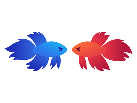 Red and blue siamese fighting fish (Betta Splendens) in standoff, isolated vector illustration.のイラスト素材