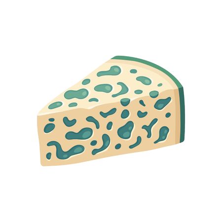 Blue cheese wedge with mold. Isolated vector illustration.のイラスト素材