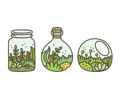 Plants in terrariums set. Moss, succulents and flowers in glass jars. Hand drawn doodle style vector illustration.のイラスト素材