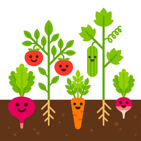 Cute vegetables with smiling faces growing in soil. Vegetable garden set, flat cartoon vector illustration.のイラスト素材