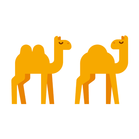 Simple cartoon camel illustration in flat geometric style. One humped dromedary and two-humped camel. Vector clip art.のイラスト素材
