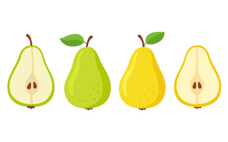 Cartoon pears set. Green and yellow pear, whole and cut in half. Isolated vector illustration.のイラスト素材