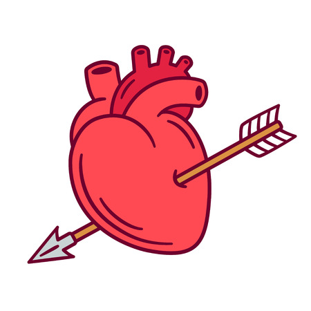 Realistic anatomic heart pierced with arrow, love symbol cartoon drawing. Isolated vector illustration for Valentines day.のイラスト素材