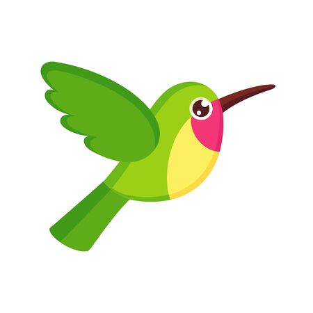 Cute cartoon hummingbird drawing. Little green colibri, isolated vector clip art illustration.のイラスト素材