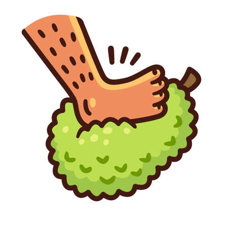 Cartoon foot stepping on jackfruit. Enfiar o pÃ© na jaca (Put one's foot in a jackfruit in Portuguese) Brazilian expression for Get drunk. Vector clip art illustration.のイラスト素材