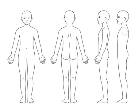Unisex body anatomy chart, naked young person of undefined gender. Front, back and side view. Blank template for medical infographic. Isolated vector clip art illustration.のイラスト素材