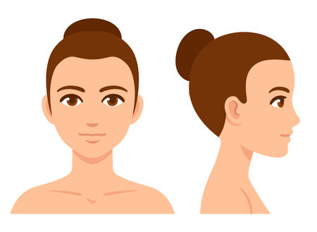 Woman face and head profile diagram, simple flat cartoon style. Female head template for beauty and healthcare infographic. Isolated vector illustration.のイラスト素材