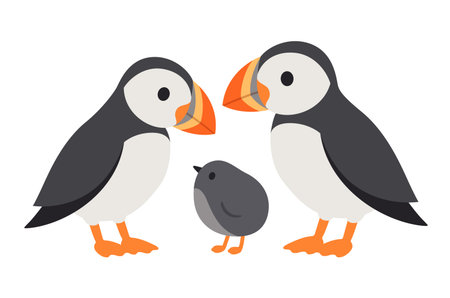 Cute cartoon puffins with baby chick (puffling). Two parents bird family. Funny animals vector illustration.のイラスト素材