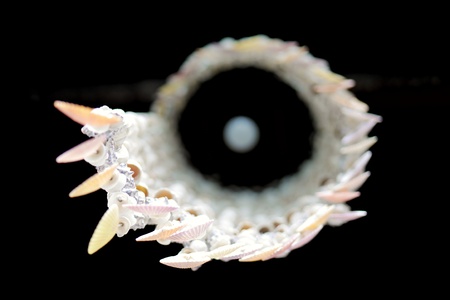 Shell mobieの写真素材