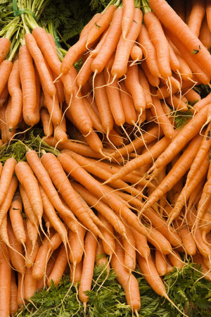 Bunches of Carrotsの写真素材