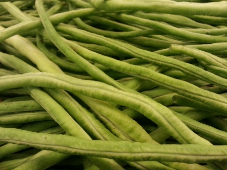 Close up of long bean vegetableの素材